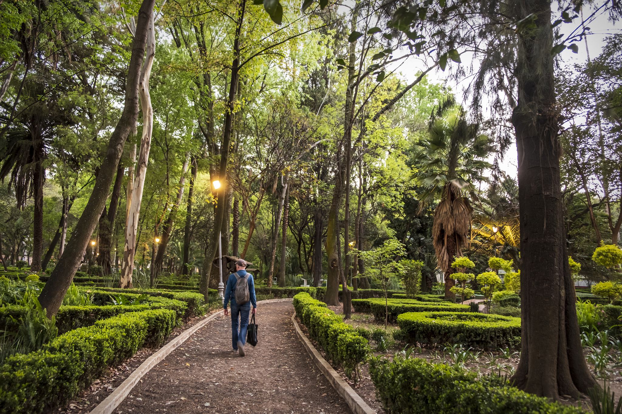 Parque-Mxico-Condesa-Mexico-City