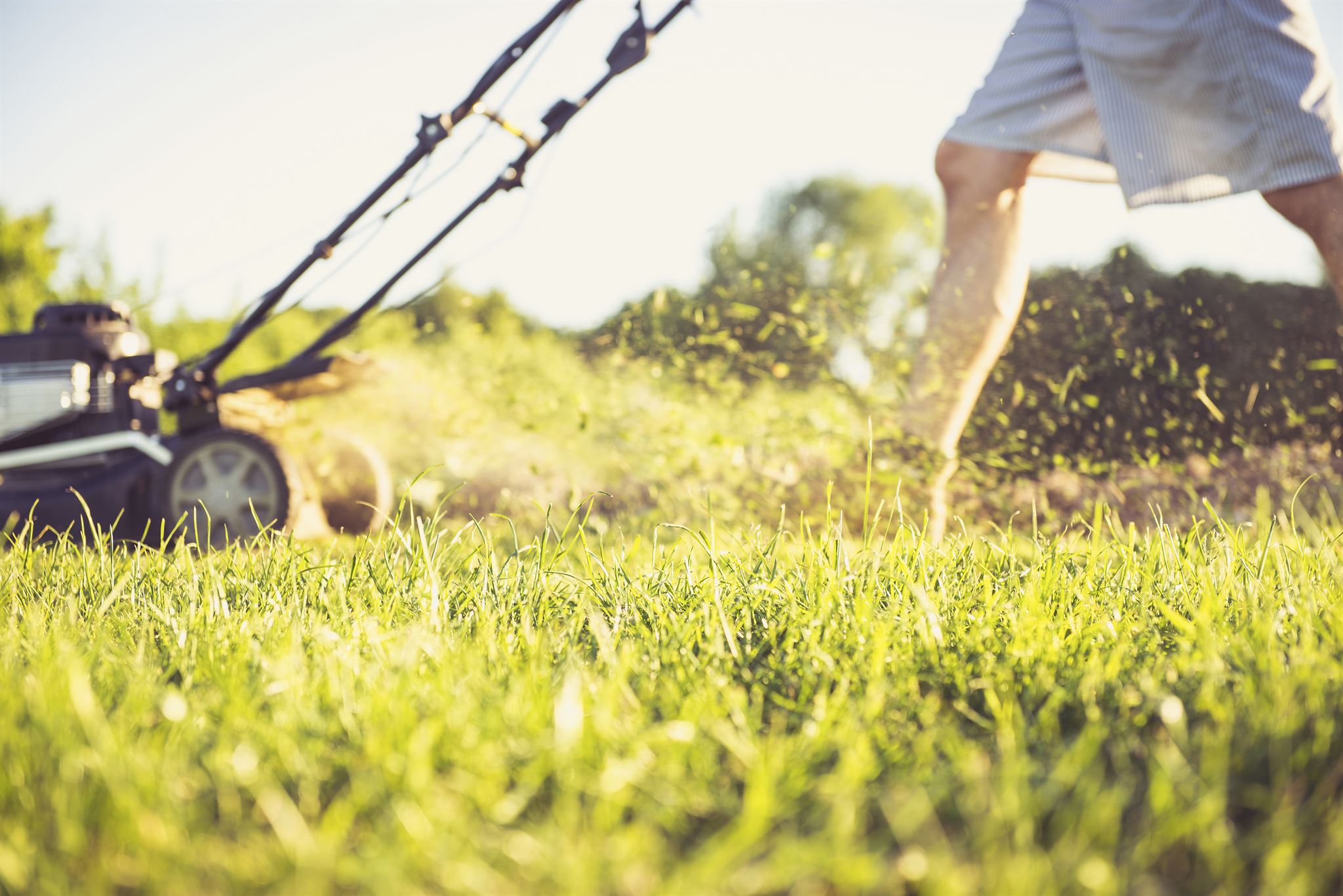 Person-in-shorts-walking-and-pushing-lawn-mower-on-grass