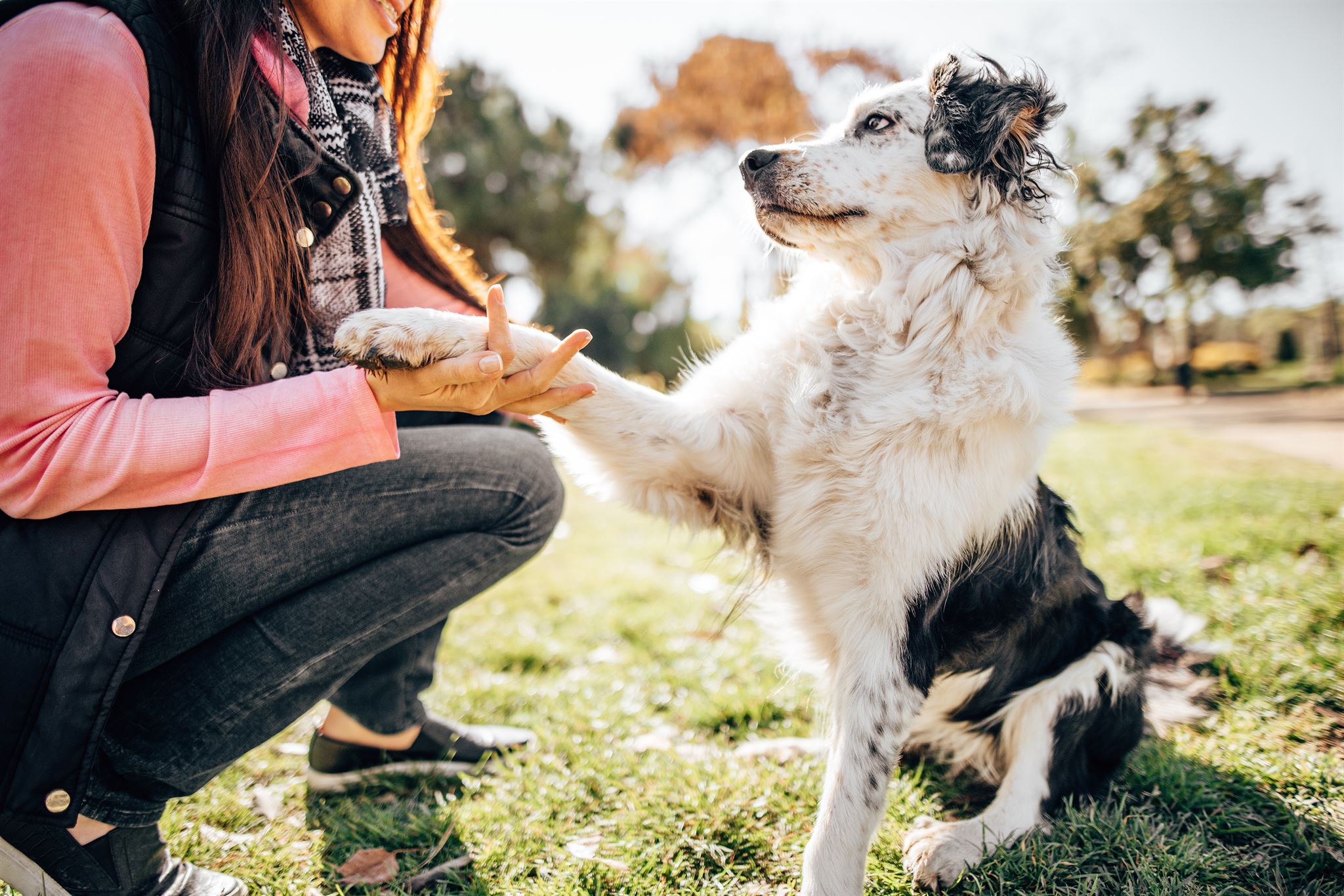 Woman-holding-dogs-paw-outdoors